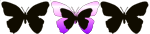 butterfly divider